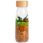 Petit Boum, butelka obserwacyjna, dinozaury