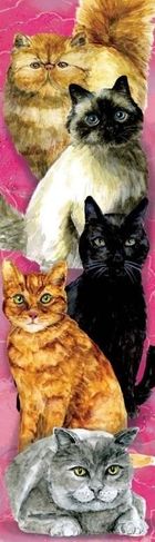 Plan, zakładka do książki, koty