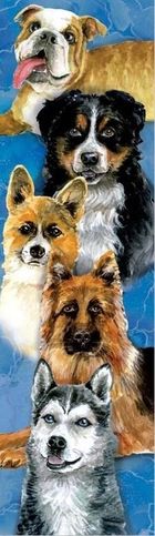 Plan, zakładka do książki, psy