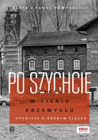 Po szychcie. Życie w cieniu przemysłu. Opowieść o Górnym Śląsku
