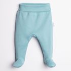 Półśpiochy chłopięce, niebieskie, Nicol