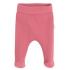 Półśpiochy dziewczęce, rózowe, Nicol