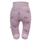 Półspiochy dziewczęce, welurowe, fioletowe, Eevi