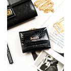Portfel, czarny, skórzany, Rovicky