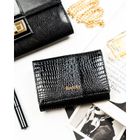 Portfel, czarny, skórzany, Rovicky