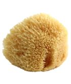 Poupy, naturalna gąbka morska dla dzieci i niemowląt, 0m+