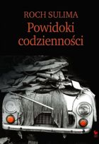 Powidoki Codzienności. Obyczajowość Polaków na progu XXI wieku