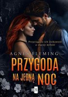 Przygoda na jedną noc