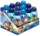 Psi Patrol, bidon aluminiowy, 500 ml, 1 szt.