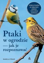 Ptaki w ogrodzie — jak je rozpoznawać