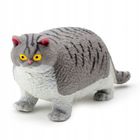 Puckator, gruby kot, gniotek