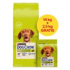 Purina, Dog Chow, Adult, jagnięcina, karma sucha dla psów, 16.5 kg