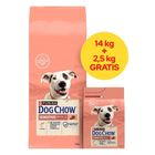 Purina, Dog Chow, Sensitive, łosoś, karma sucha dla psów, 16.5 kg