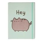 Pusheen, notes / zeszyt z gumką, zielony