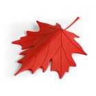 Qualy, bloker do drzwi, liść jesieni, czerwony