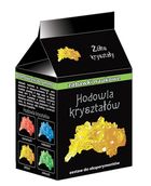 Ranok Creative, Hodowla kryształów, żółte, zestaw naukowy