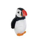 Ranok Creative, Maskonur atlantycki, maskotka z dźwiękiem