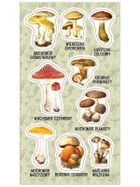 Ranok Creative, naklejki, Trujące grzyby
