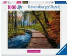 Ravensburger, Autumnal Wooden Trail, puzzle, 1000 elementów