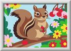 Ravensburger, CreArt for Kids, malowanie po numerach, Wiewiórka