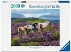 Ravensburger, Dzikie konie na wrzosowisku, puzzle, 2000 elementów