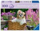 Ravensburger, Feel Well, puzzle XL, pies, 100 elementów