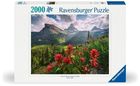 Ravensburger, Krajobraz, puzzle, 2000 elementów