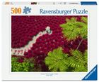 Ravensburger, Sea of Red, puzzle, 500 elementów