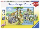 Ravensburger, Witamy w zoo, 2-24 elementy