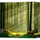 Rebel, Czarny Las, gra strategiczna