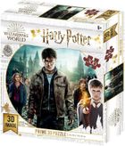 Rebel, Harry Potter, Złota Trójka, puzzle 3D, 300 elementów