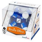 Recent Toys, Brain Dice, łamigłówka, poziom 4/5
