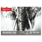 Rosa, szkicownik, A4, 50 kartek, 120g, Słoń