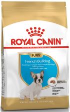 Royal Canin, French Bulldog, Puppy, karma sucha dla psa, 10 kg