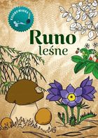 Runo leśne. Kolorowanka