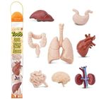 Safari Ltd, Toob, zestaw figurek, narządy wewnętrzne