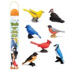 Safari Ltd, Toob, zestaw figurek, ptaki ogrodowe