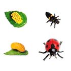 Safari Ltd, zestaw figurek, cykl życia biedronki