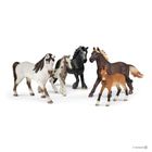 Schleich, Horse Club, 5 koników, zestaw kolekcjonera, 72113