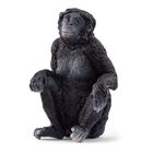 Schleich, Wild Life, Samica szympansa karłowatego, figurka, 14875