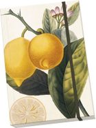 Skona Ting, Cytryna, notatnik ozdobny A5, 1 szt.