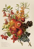 Skona Ting, karnet B6 z kopertą, Jesienny bukiet