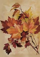 Skona Ting, karnet B6 z kopertą, Jesienny klon