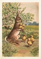 Skona Ting, karnet B6 z kopertą, Królik, Wielkanoc