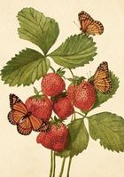 Skona Ting, karnet ST502 B6 + koperta Truskawki i motyle