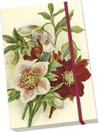 Skona Ting, notatnik, A5, Ciemiernik