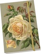 Skona Ting, notatnik, A5, Żółte róże