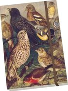 Skona Ting, notatnik ozdobny, A5, ptaki, 1 szt.