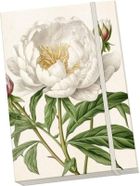 Skona Ting, Piwonie i róże, notatnik ozdobny A5, 1 szt.