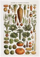 Skona Ting, ręcznik kuchenny, warzywa